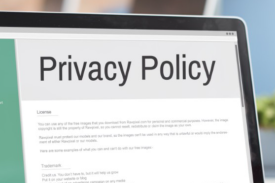 Privacy Policy | Grawio